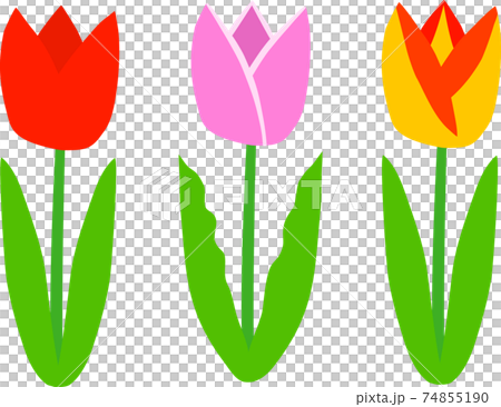 チューリップセット 74855190