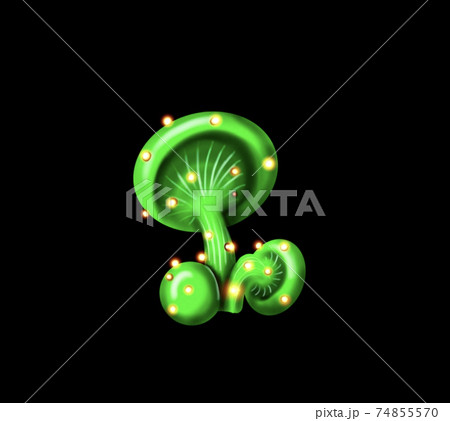 luminescent mushrooms glowing brightly at night. Beautiful fantasy mushrooms set. illustration of magic unusual elements of nature isolated on black background 74855570