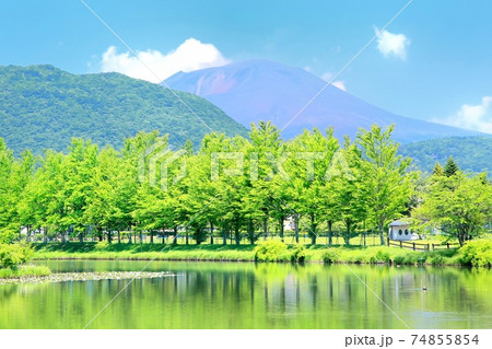 夏の軽井沢・矢ヶ崎公園 74855854