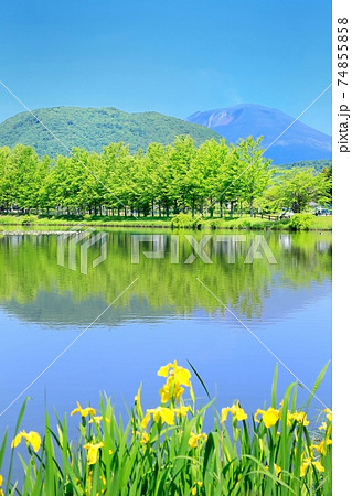 夏の軽井沢・矢ヶ崎公園 夏の軽井沢・矢ヶ崎公園 74855858