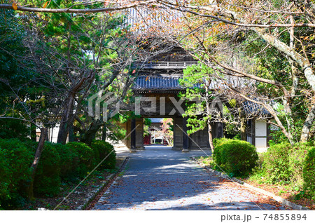 東光寺　参道　三門　山口県萩市 74855894