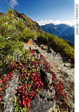 南アルプス・塩見岳山頂のウラシマツツジの紅葉と荒川三山 南アルプス・塩見岳山頂のウラシマツツジの紅葉と荒川三山 74856626