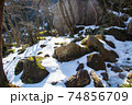 御在所岳登山 裏登山道の雪景色 74856709