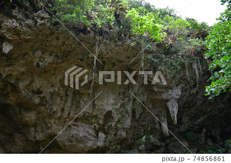 斎場御嶽より 斎場御嶽より 74856861