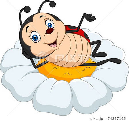 Cartoon funny ladybug on daisy flower Cartoon funny ladybug on daisy flower 74857146