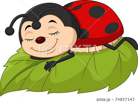 Cartoon ladybug sleeping on leaf Cartoon ladybug sleeping on leaf 74857147