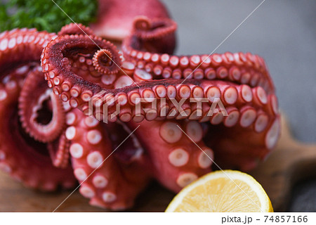Octopus food cooked salad seafood squid cuttlefish, Boiled octopus tentacles with lemon on cutting board 74857166