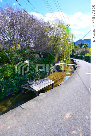 萩　藍場川　萩市 74857250