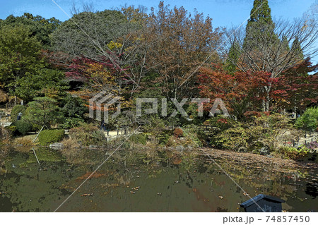 東山動植物園点景 東山動植物園点景 74857450