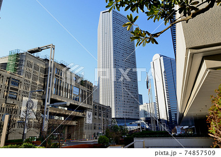 新宿新都心 超高層ビル群の風景 新宿新都心 超高層ビル群の風景 74857509