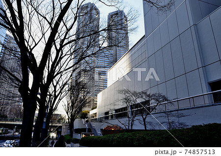 新宿新都心　超高層ビル群の風景 74857513