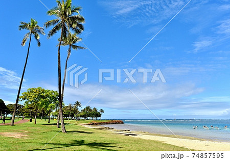 ハワイの休日 74857595