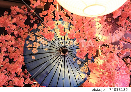 和傘と桜 74858186