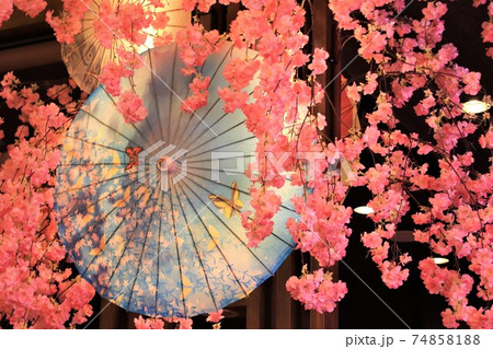 和傘と桜 和傘と桜 74858188