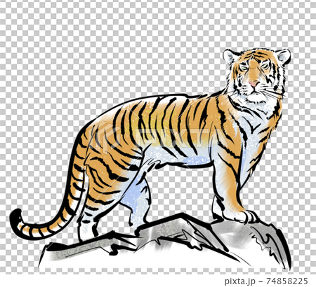 老虎從山色俯瞰 74858225