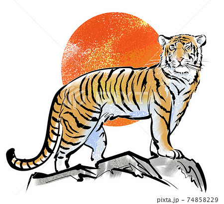 Tiger overlooking from a hill-color with the... - Stock Illustration  [74858229] - PIXTA
