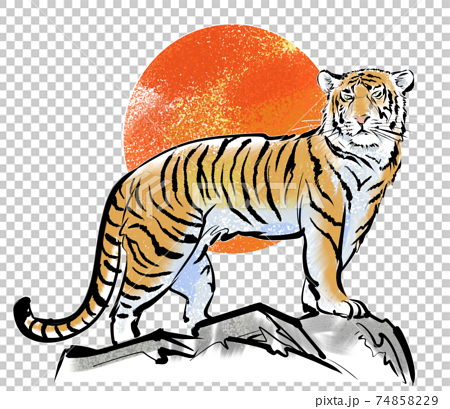 高台から見下ろす虎 背景に太陽のあるカラー のイラスト素材