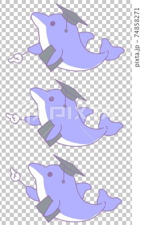 3 types of dolphins pointing to something (blue) 74858271