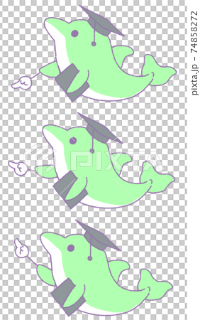 3 types of dolphins pointing to something (green) 74858272
