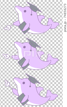 3 kinds of dolphins pointing to something (purple) 74858273