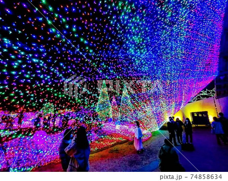 イルミネーションの壁が写真映えスポット 74858634