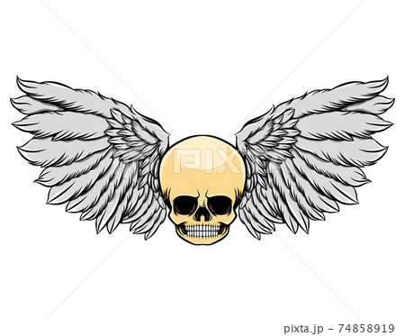 The wide skull forehead with the teeth and the grey wings 74858919