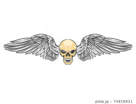 The bikers logo inspiration of the head skull with the dashing wings 74858931