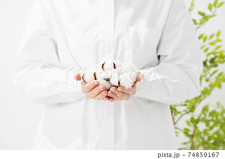 綿花　コットンボール　手元 74859167