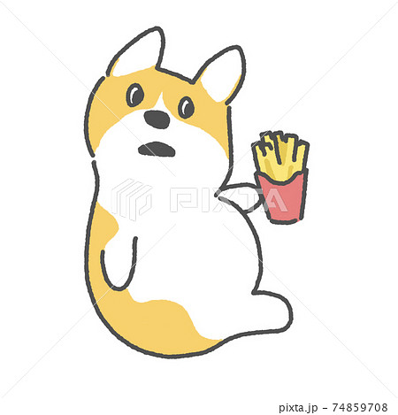 ぽっちゃりコーギーとポテト 真顔 のイラスト素材