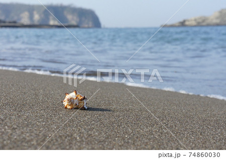 波打ち際の貝殻 波打ち際の貝殻 74860030