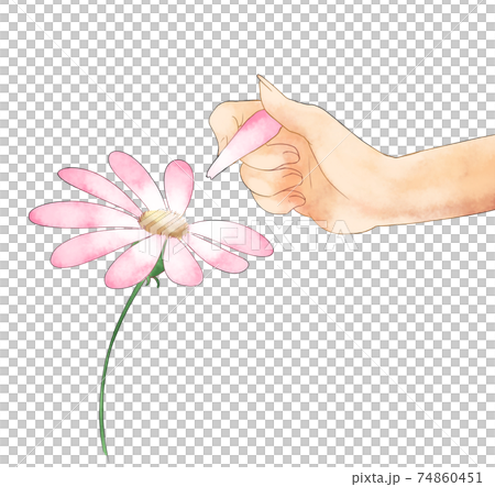 <Illustration material> Flower fortune-telling watercolor style <Illustration material> Flower fortune-telling watercolor style 74860451