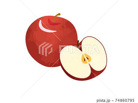 真っ赤なリンゴ りんごの断面のイラスト素材