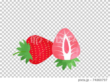 へたのついた苺のイラスト 断面図のイラスト素材