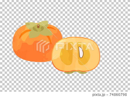 柿のイラスト 柿のイラスト 74860798