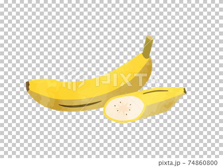 バナナのイラスト 全体図と断面のイラスト素材