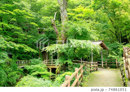 鹿教湯温泉・緑の五台橋 74861051
