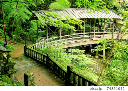 鹿教湯温泉・緑の五台橋 鹿教湯温泉・緑の五台橋 74861052