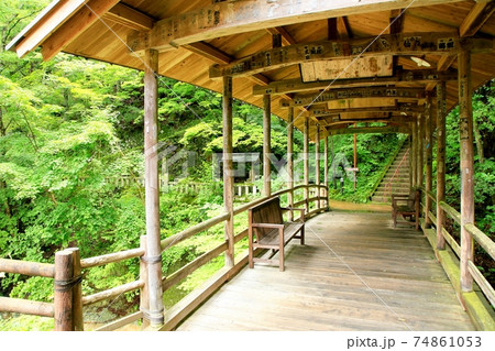 鹿教湯温泉・緑の五台橋 74861053