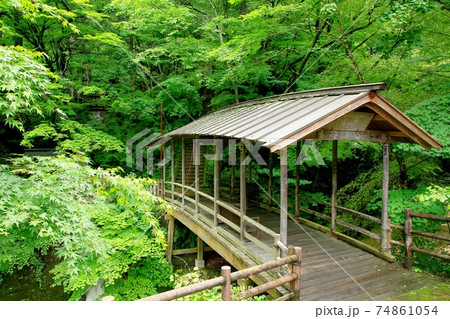 鹿教湯温泉・緑の五台橋 鹿教湯温泉・緑の五台橋 74861054