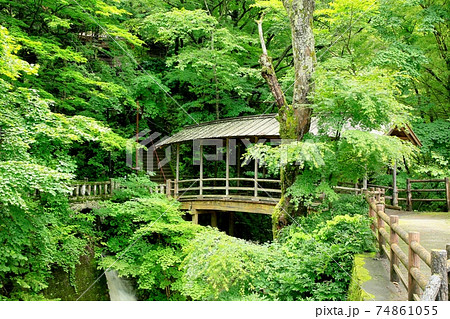 鹿教湯温泉・緑の五台橋 74861055