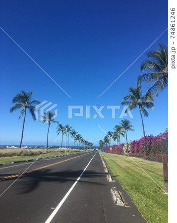 ハワイ島の真っ直ぐな道路と椰子の木 74861246