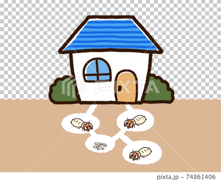 House and termite nest 74861406