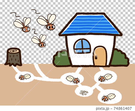 家とシロアリの巣 羽アリのイラスト素材