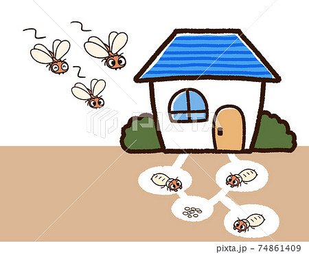 家とシロアリの巣 羽アリ 家とシロアリの巣 羽アリ 74861409