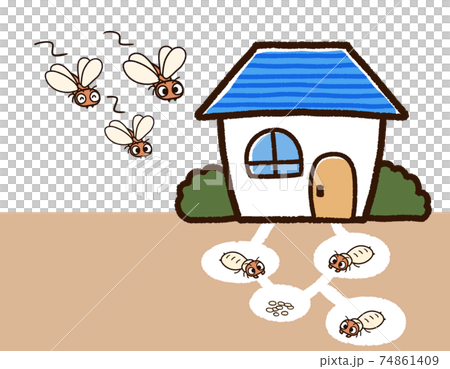 家とシロアリの巣 羽アリ 家とシロアリの巣 羽アリ 74861409