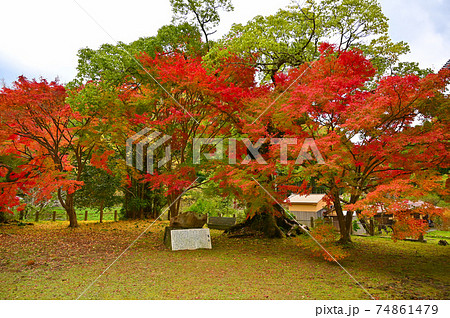 城上神社　境内　亀石　石見銀山　太田市 74861479