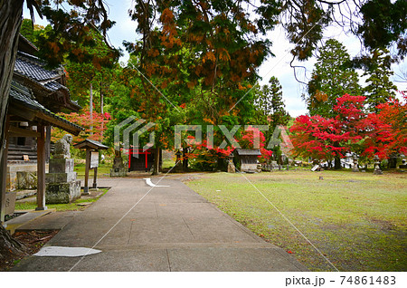 城上神社 紅葉 境内 石見銀山 太田市 城上神社 紅葉 境内 石見銀山 太田市 74861483