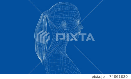 Wireframe portrait of a young beautiful girl Wireframe portrait of a young beautiful girl 74861820