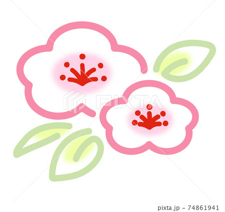 タイトル かわいい白梅の花のイラスト アイコンのイラスト素材