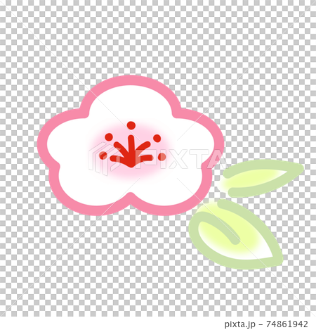 タイトル かわいい白梅の花のイラスト アイコンのイラスト素材